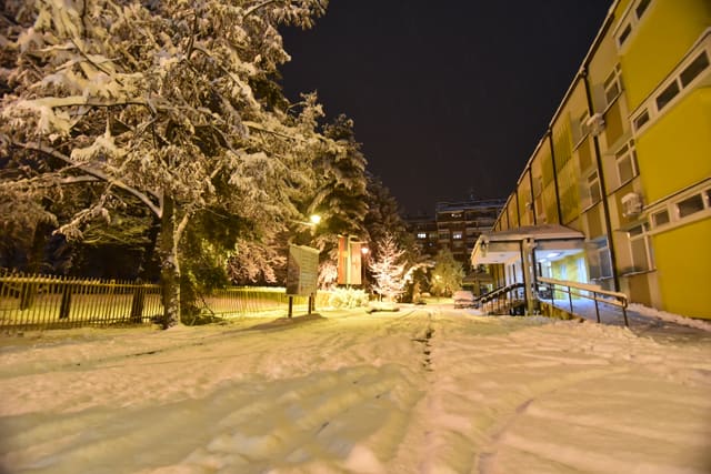 ЛУЧАНИ ЗИМИ — 6